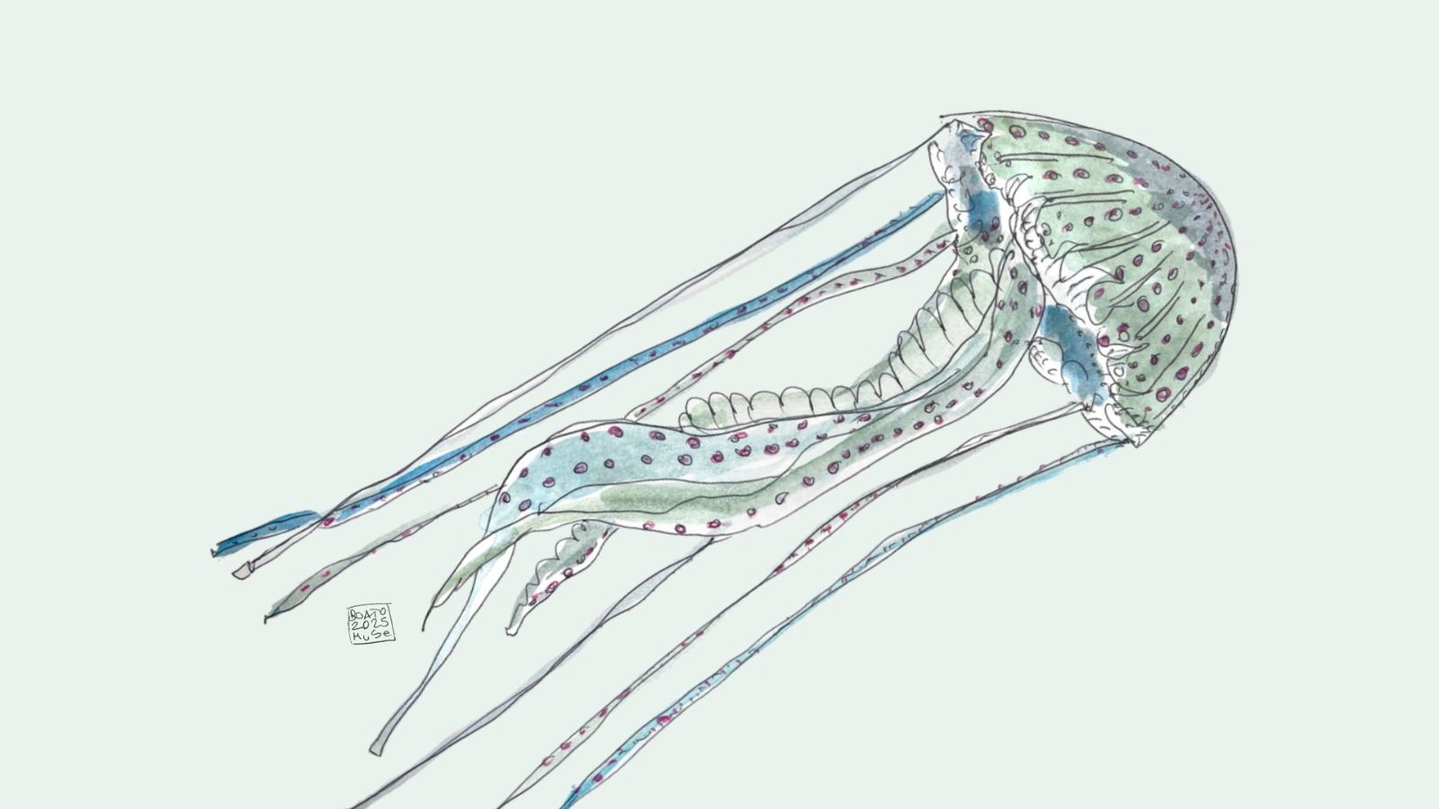 La Medusa 1600x900px